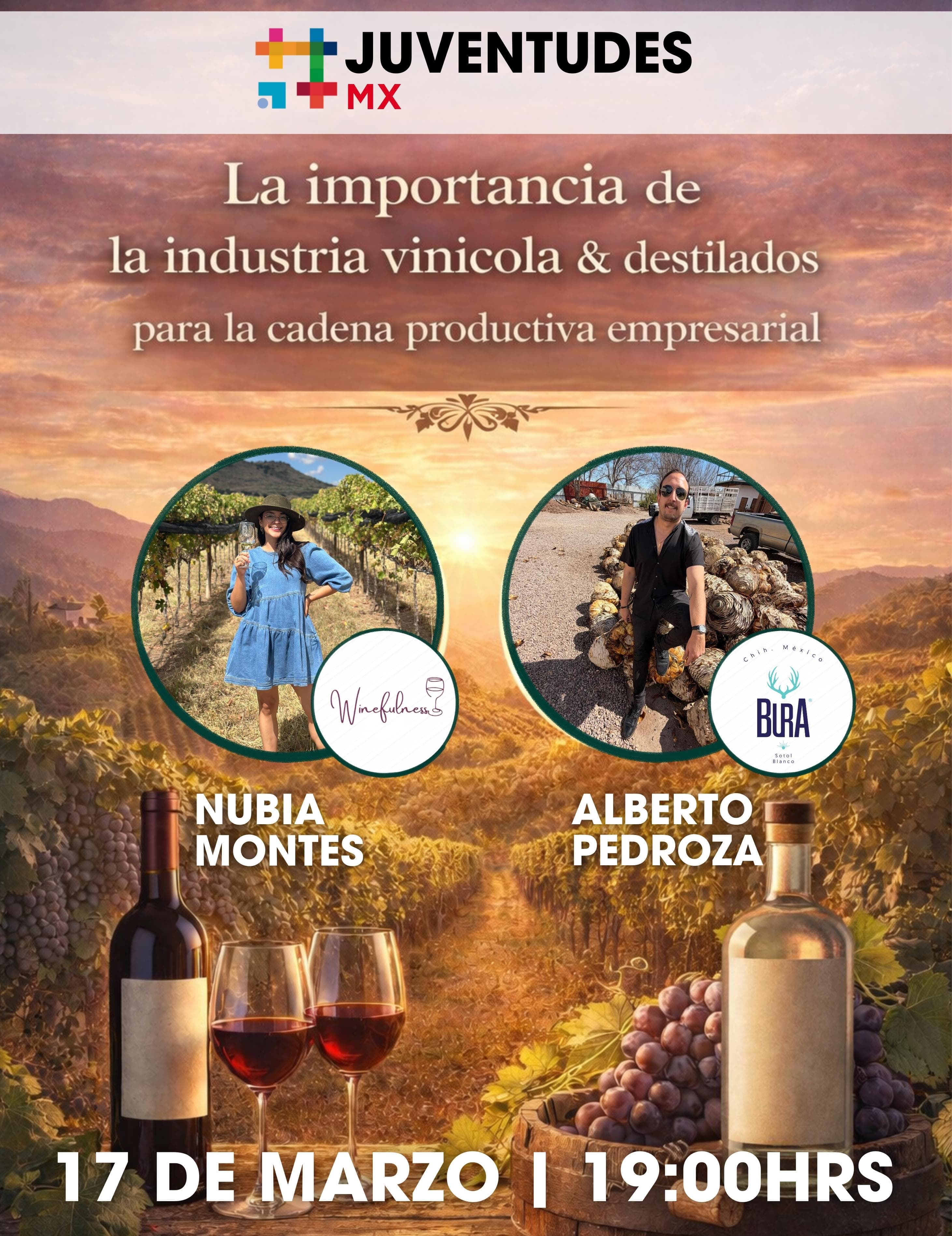 La importancia de la industria vinícola & destilados para la cadena productiva empresarial